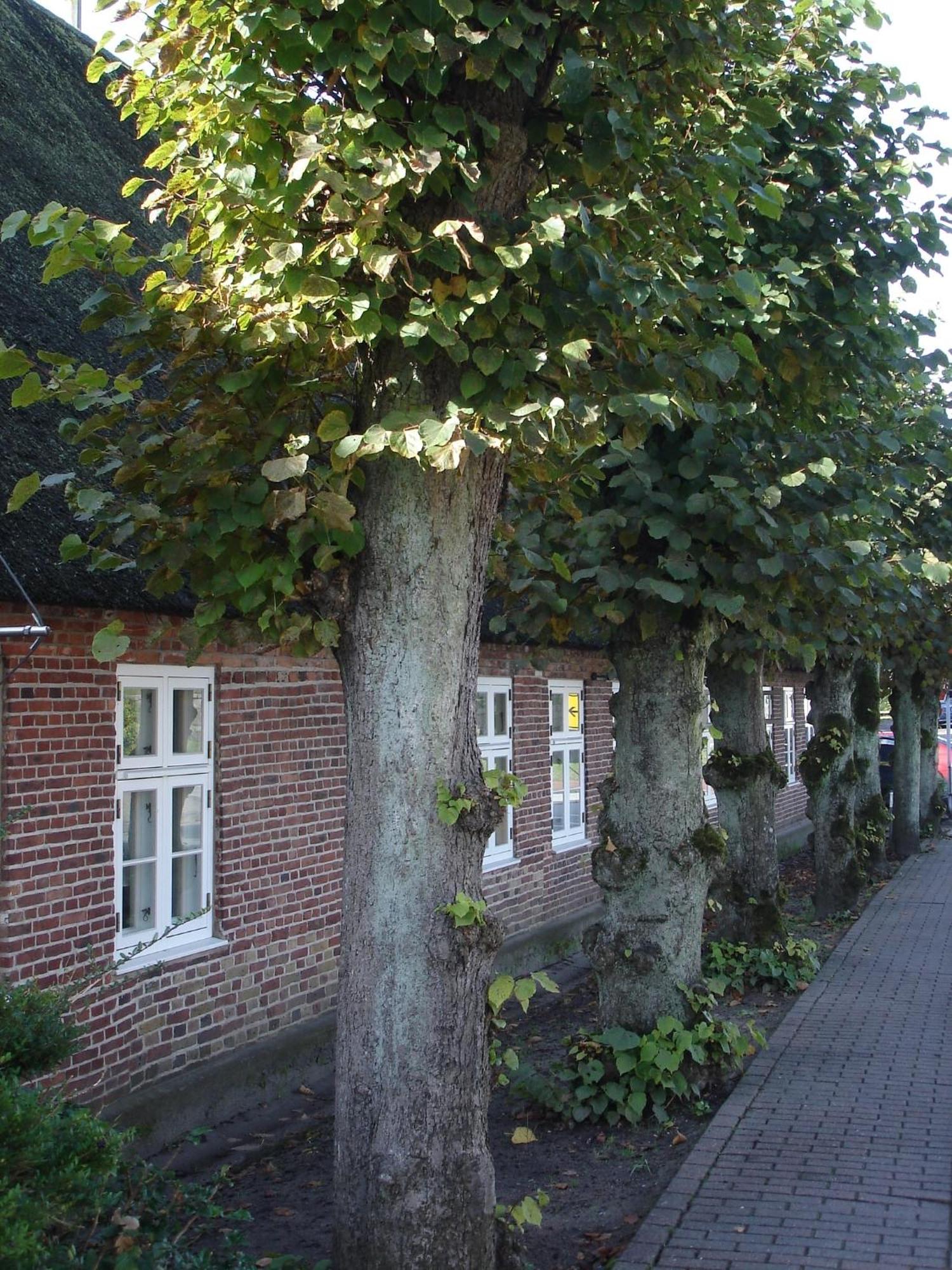 Tetens Gasthof Süderlügum Buitenkant foto